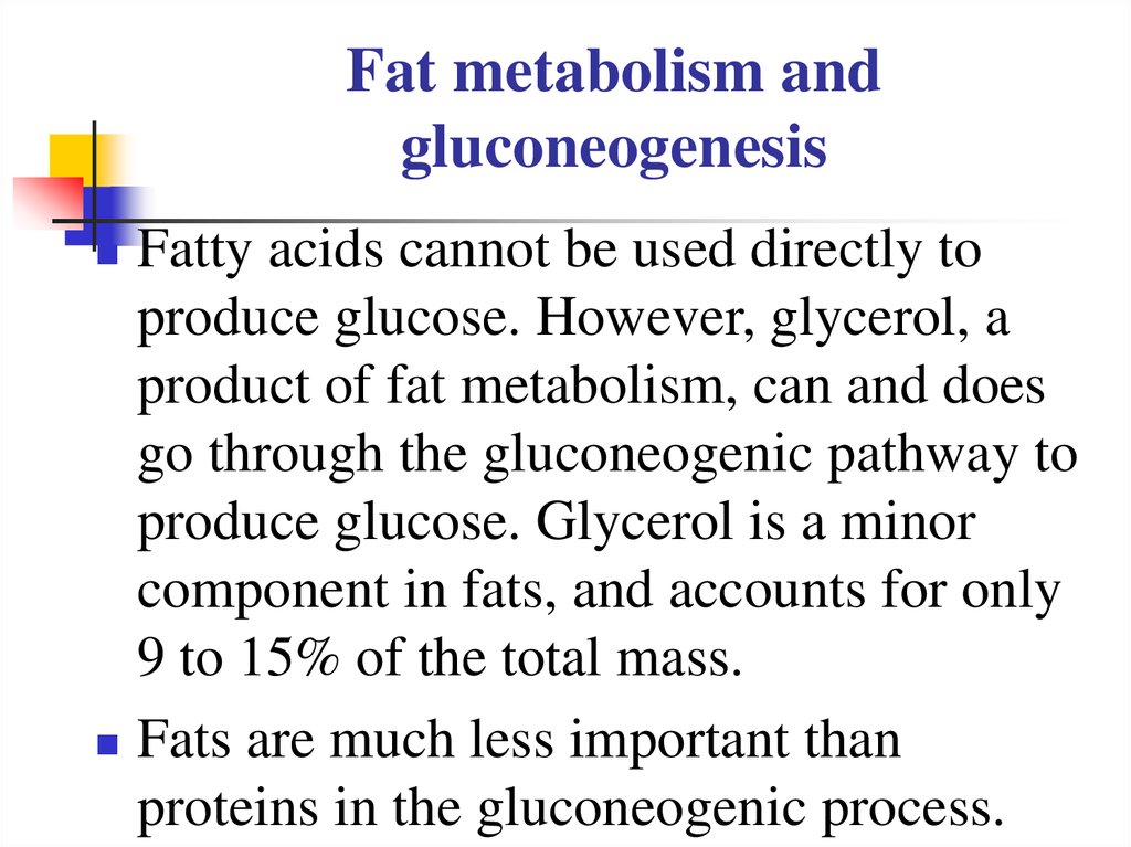Fat metabolism and gluconeogenesis