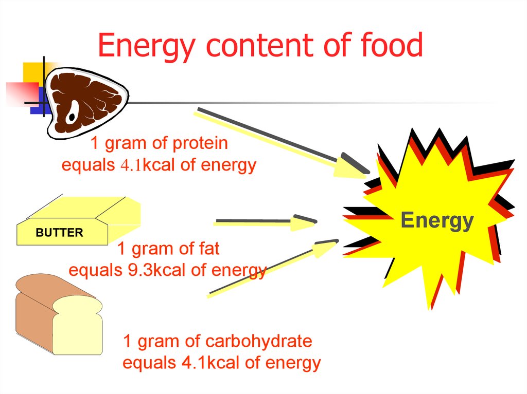 Energy content of food