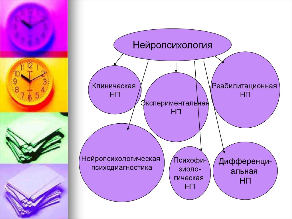 Схема этапов развития нейропсихологии как науки