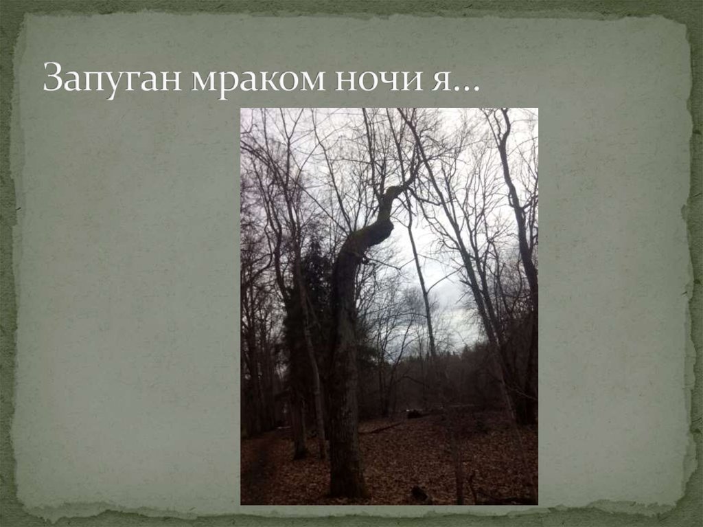 Запуган мраком ночи я…