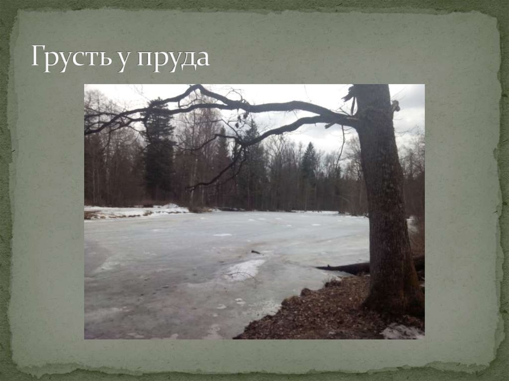 Грусть у пруда