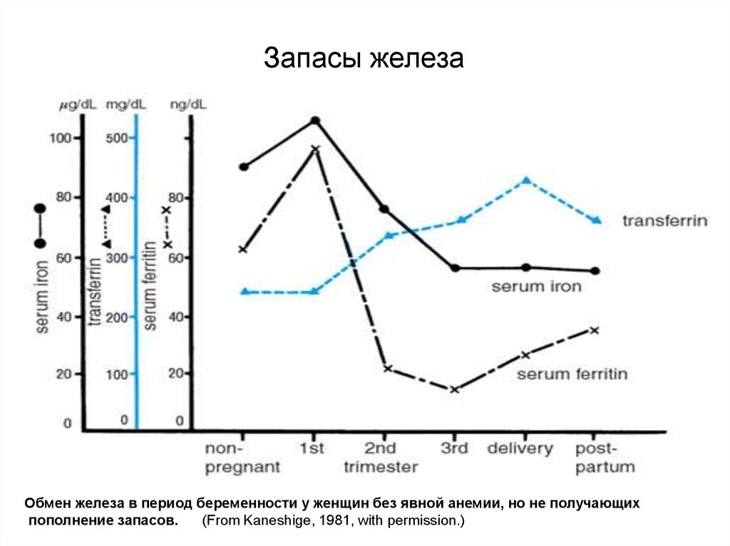 Период железа. Запасы железа. Железо запасов представлено:. Запасы железы показателей. Период запаса железа.