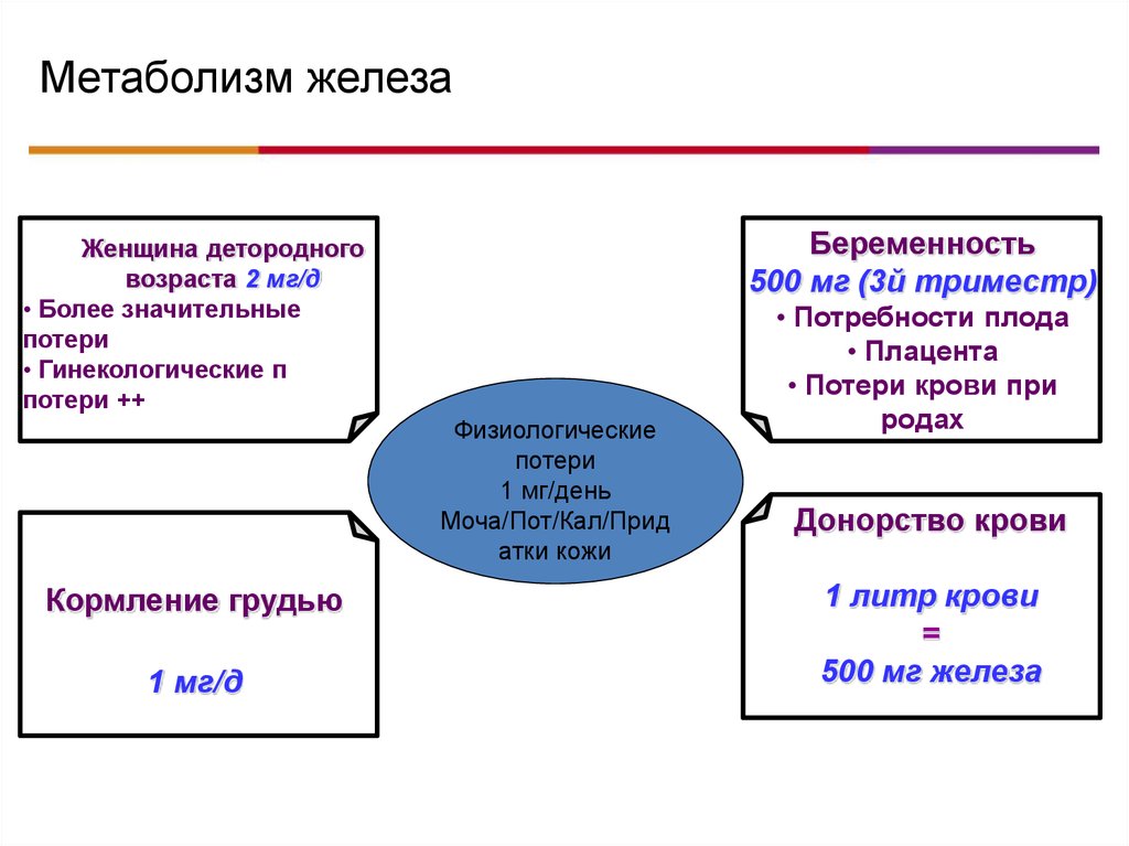 Метаболизм железа