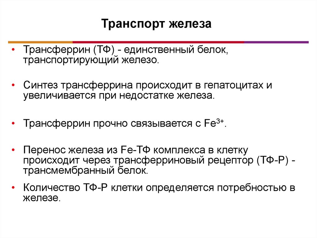 Схема движения железа в депо с участием транспортных белков