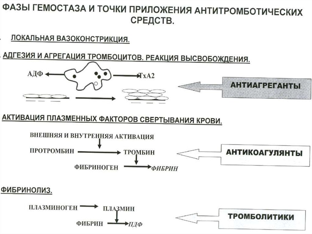 Система гемостаза презентация