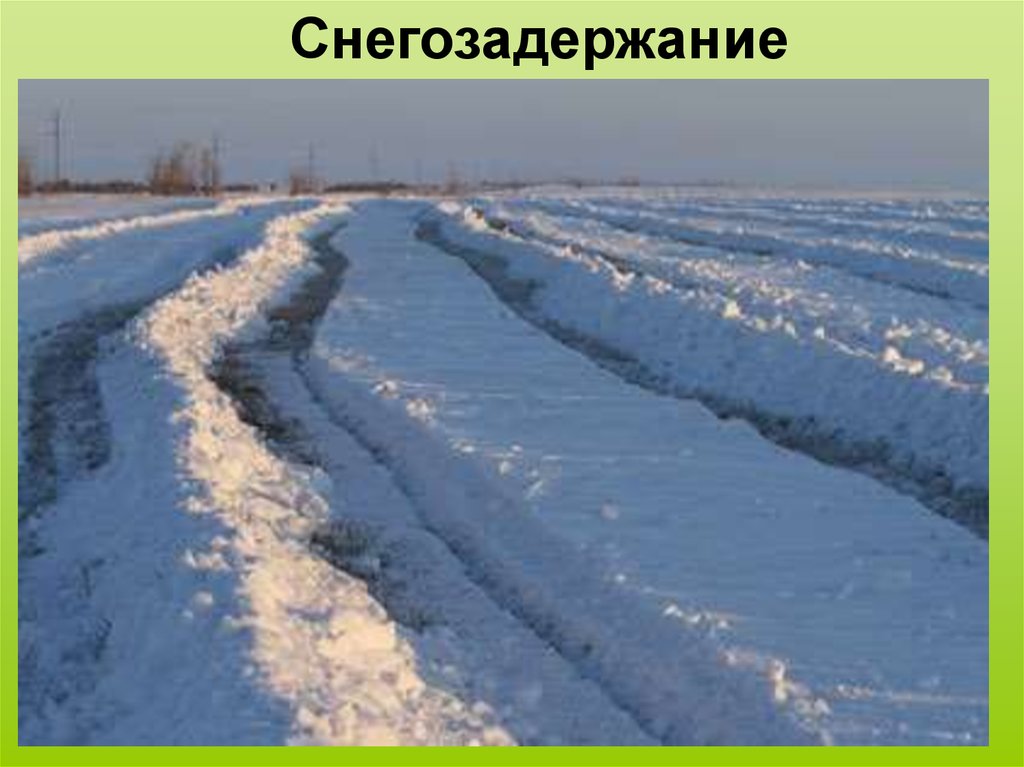 Снегозадержание в зимнее время. Снегозадержание почвы на полях. Снегозадержание. Снегонакопление.. Снегозадержание мелиорация. Снежные валы на полях.