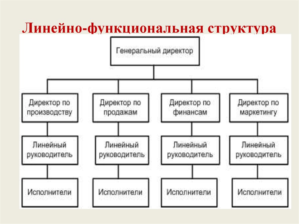 Линейная организационная структура компания
