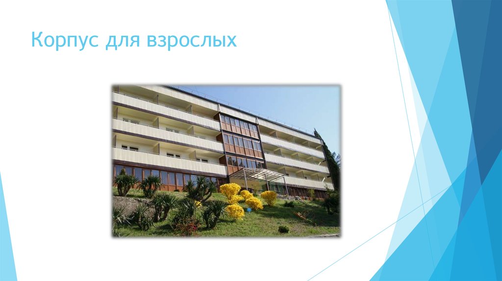 Корпус для взрослых