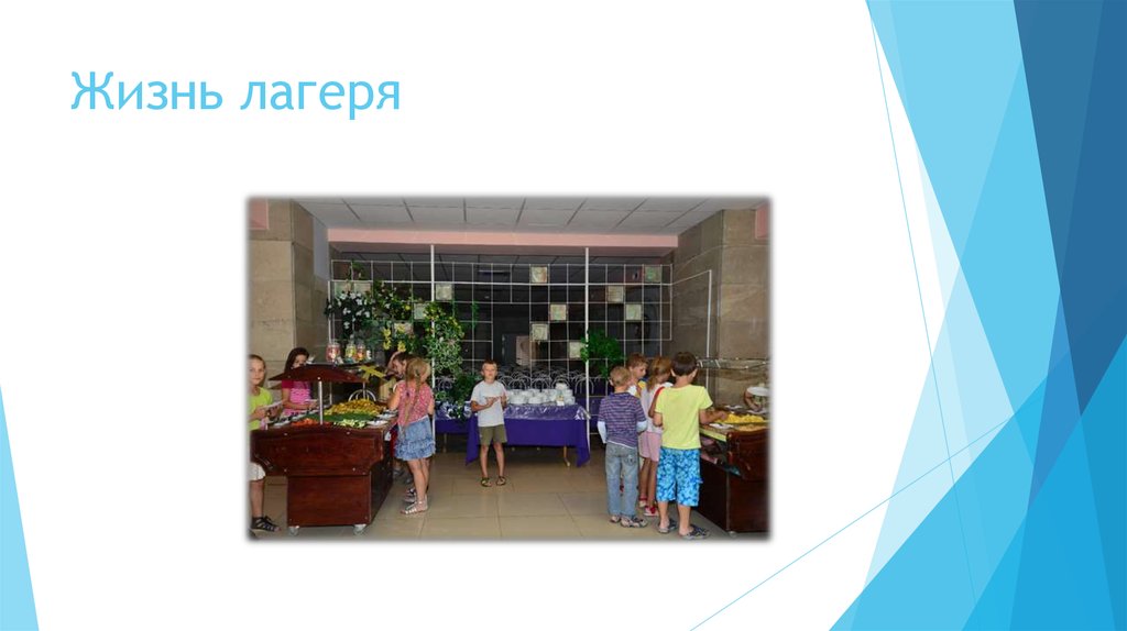 Жизнь лагеря