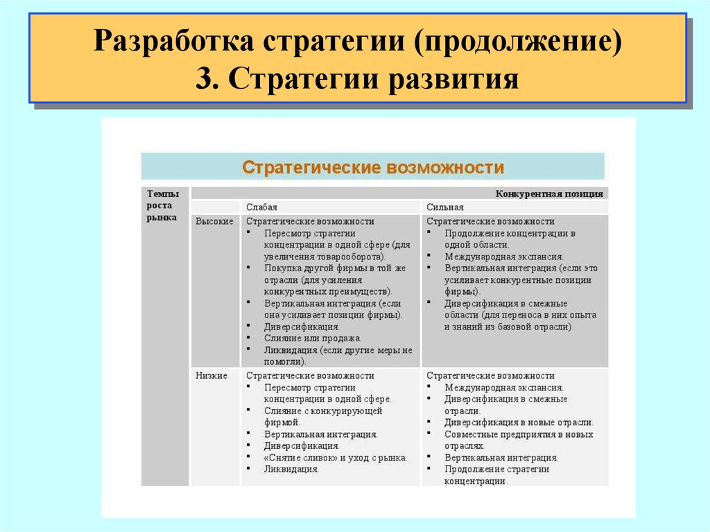 Разработка стратегии проекта