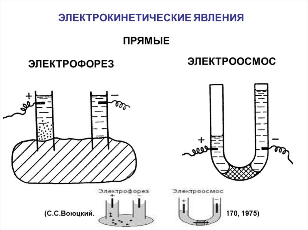 Электроосмос. Схема процесса электроосмоса. Электрокинетические явления: электрофорез и электроосмос. Схема электрофореза и электроосмоса. Явление электрофореза и электроосмоса.