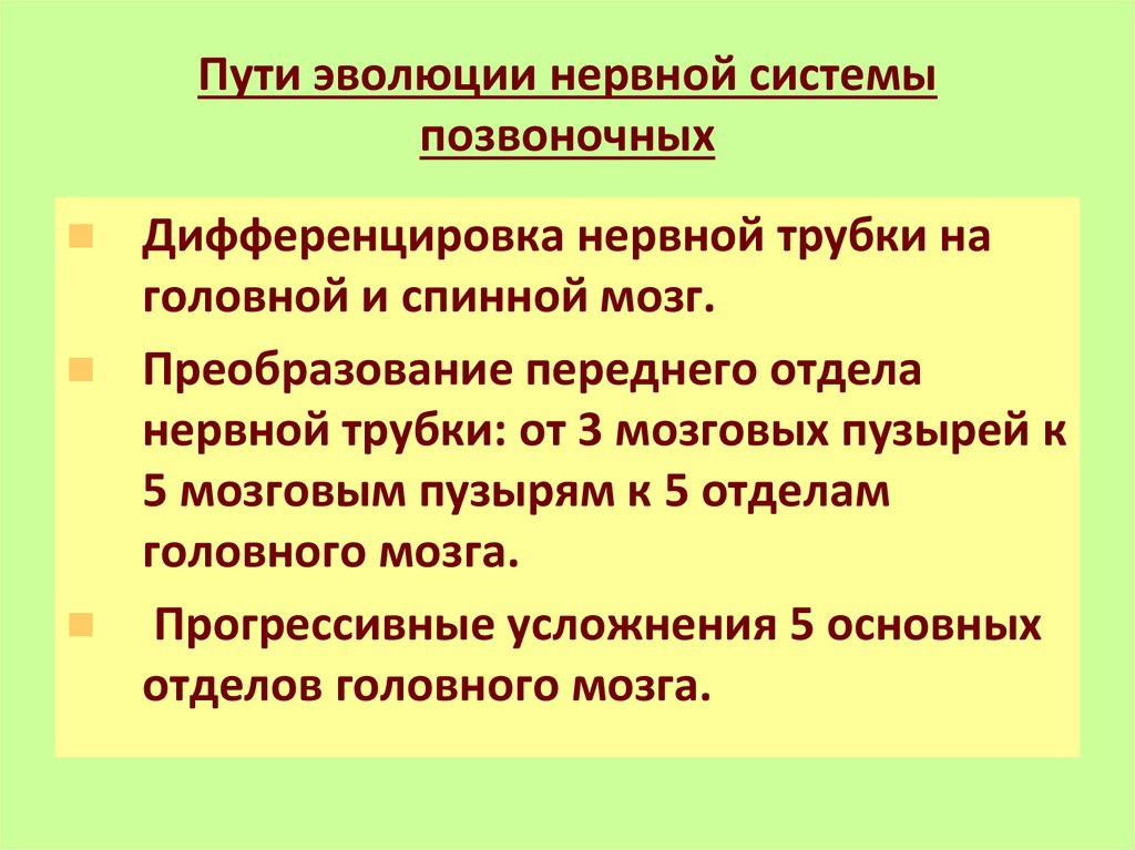 Основные преобразования