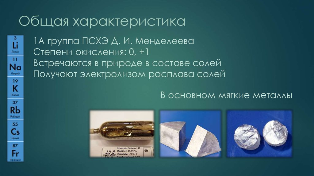 Общая характеристика