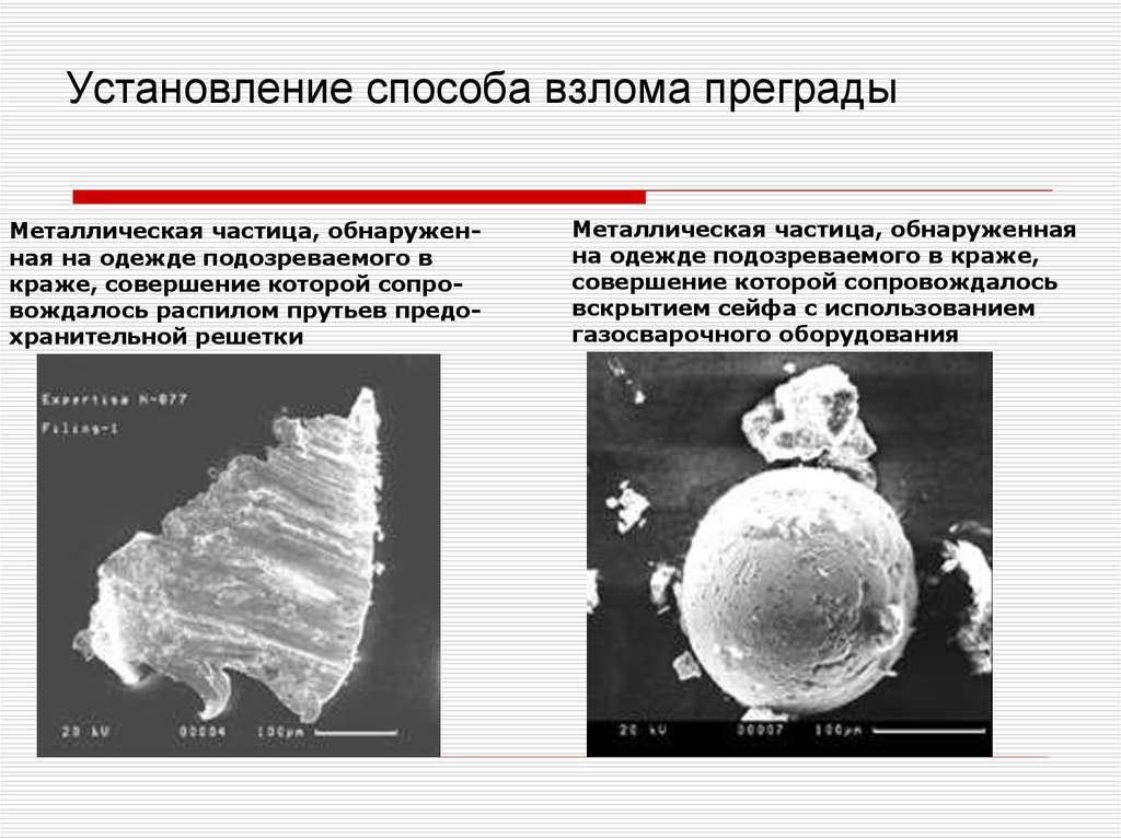 book логистическая система как фактор эффективного управления запасами сельскохозяйственного предприятия социальные проблемы современного села в экономическом и