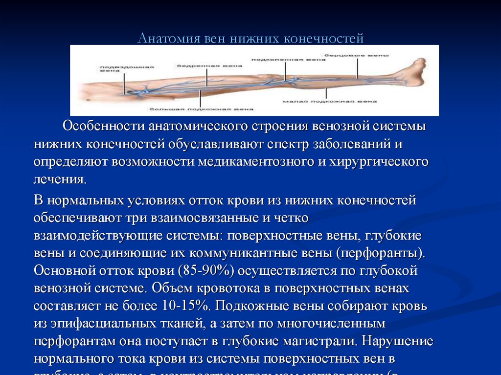 Особенности анатомии. Строение варикозной системы нижних конечностей. Отток крови от нижних конечностей. Особенности строения вен. Отток крови у Нижний конечностей.