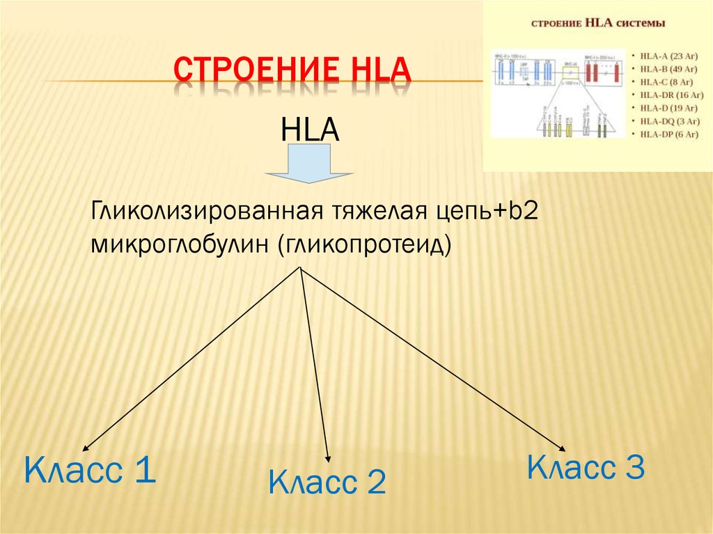 23 строение