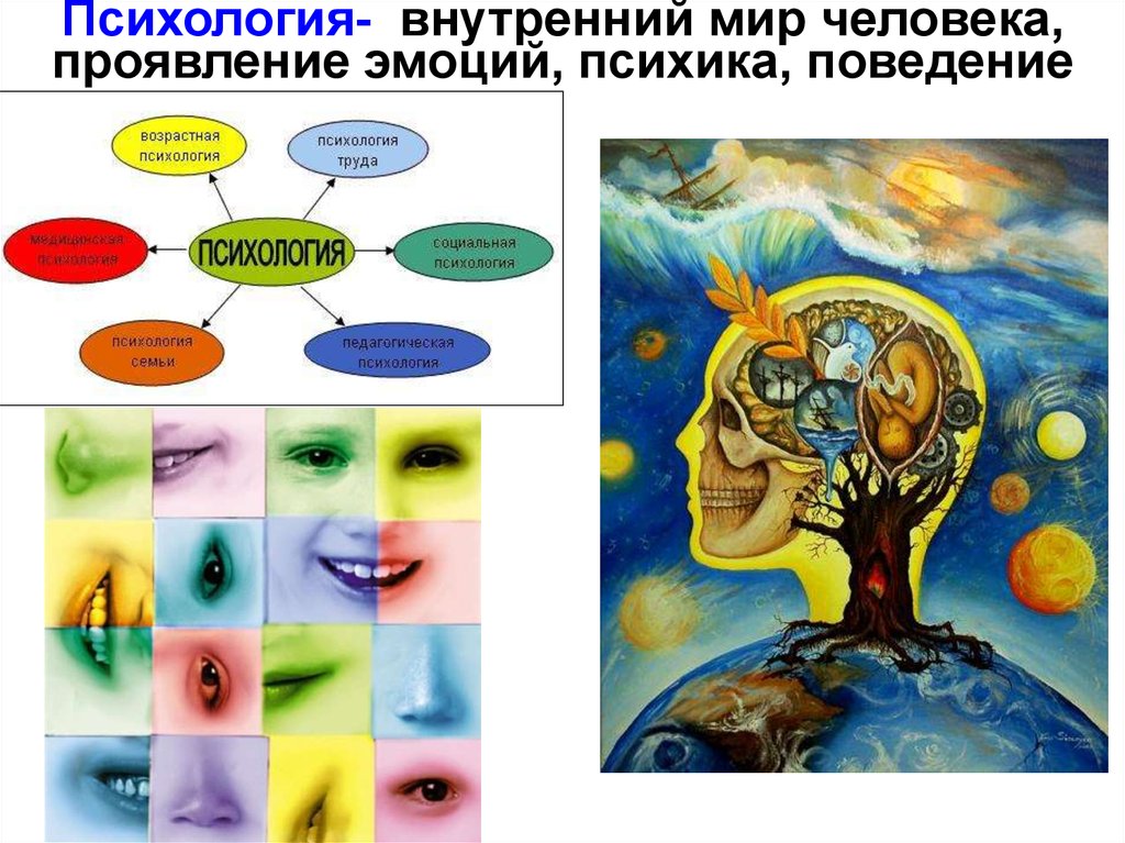 Психика и поведение человека презентация 8 класс. Внутренний мир человека психология. Внутренний мир человека это. Внутренний мир психология. Психологические плакаты.