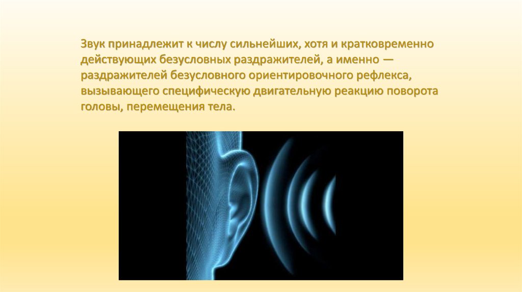 Звук движения головы. Рефлекс поворота головы на звук. Аудиальная информация примеры. Аудиальная кратковременная. Условно-двигательной реакции на звучания.
