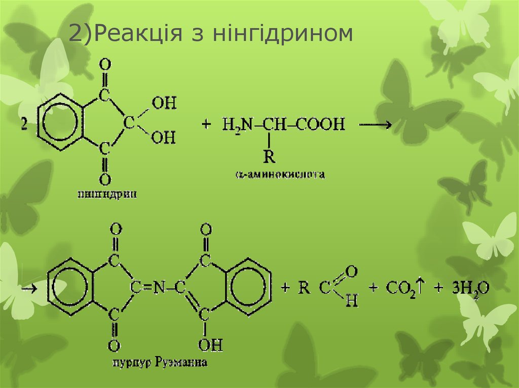 P f реакция. Нингидрин с аминокислотами. З алиогиротцилин. Реакція визначення аліфатичної аміногрупи.