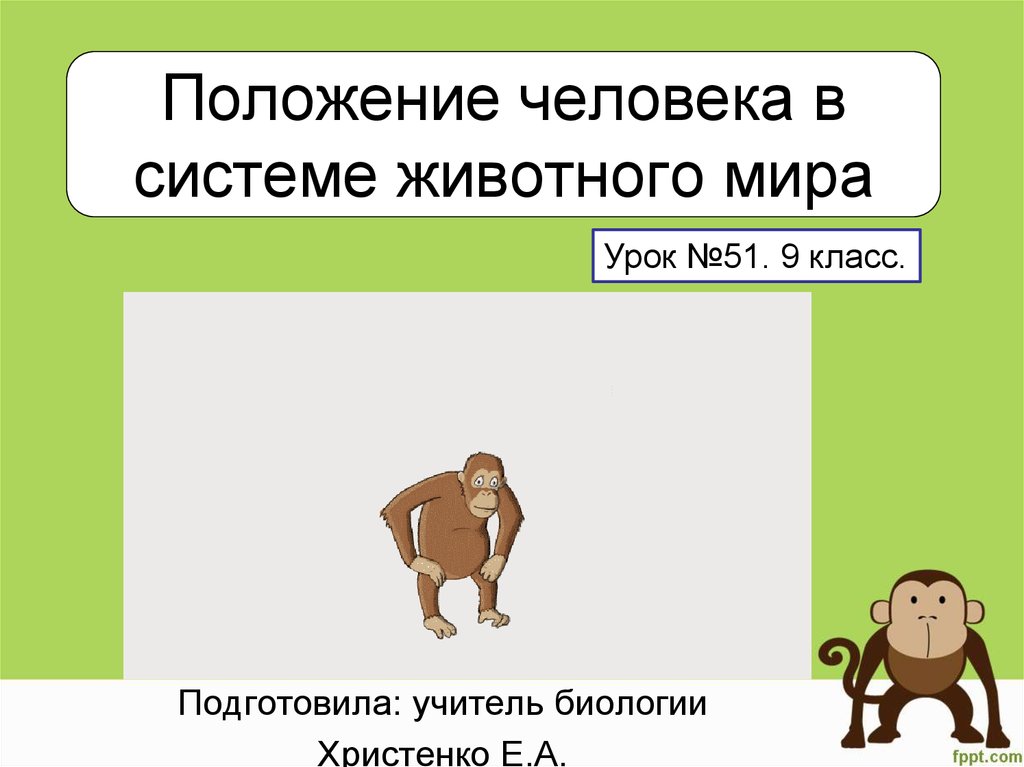 Положение человека в системе животного мира презентация 11 класс биология