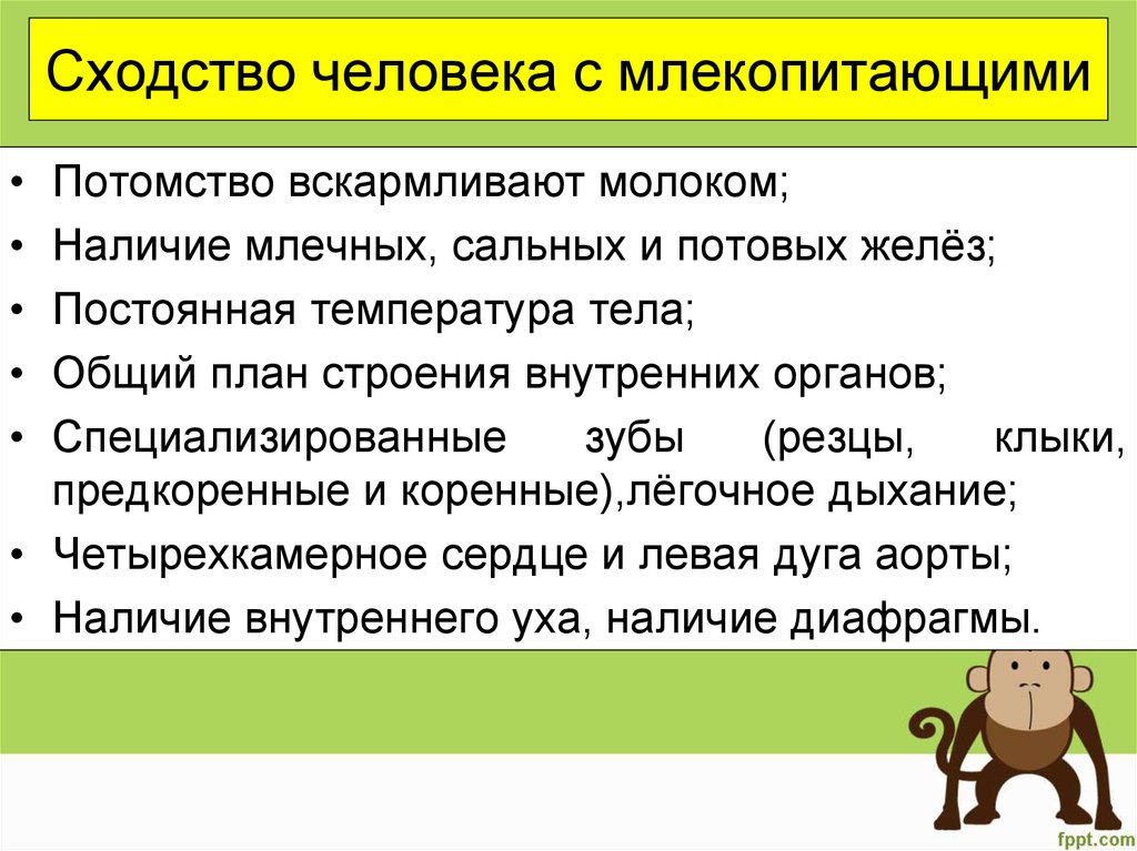 Обществознание животные. Сходство человека с млекопитающими. Сходства человека с мелкопитающ. Черты сходства человека с млекопитающими. Сходства и различия человека и млекопитающих.