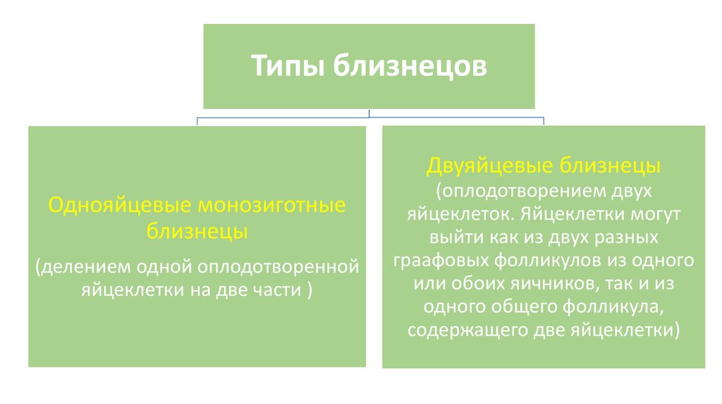 Виды близнецов схема