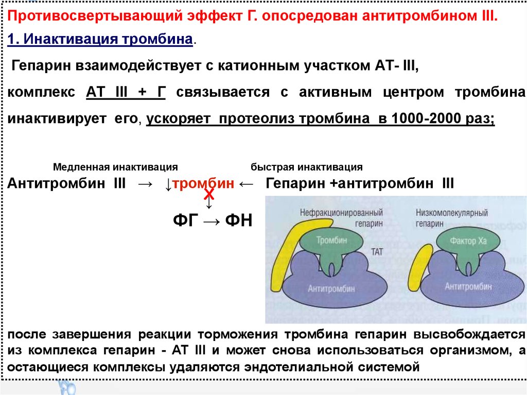 Антитромбин iii. Комплекс гепарин–антитромбин III. Комплекс антитромбинiii + гепарин:. Гепарин инактивирует тромбин. Антитромбин 3 и тромбин.