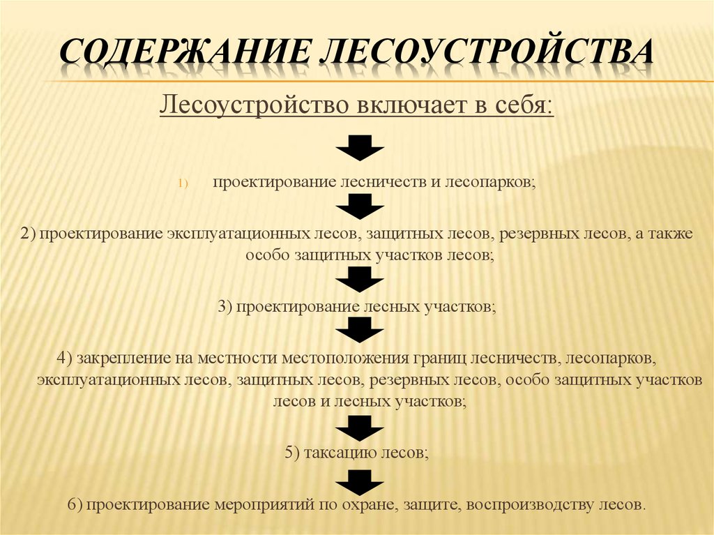 План проведения лесоустройства