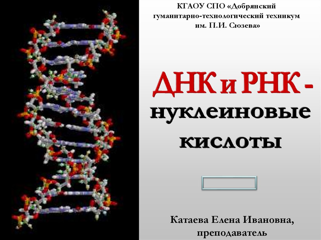 Днк рнк человека. ДНК И РНК. Нуклеиновые кислоты РНК. Нуклеиновые кислоты ДНК. Рибонуклеиновая кислота ДНК.