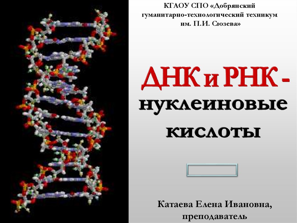 Днк 1 днк 2 и рнк. Нуклеиновые кислоты ДНК И РНК. Рибонуклеиновые кислоты РНК И дезоксирибонуклеиновые кислоты ДНК. Темы для презентаций ДНК. ДНК И РНК презентация.