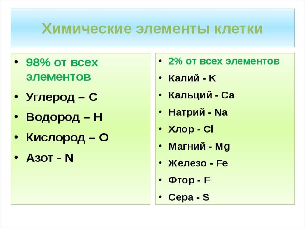 Элементы клетки. Химические элементы клетки схема. Химические элементы клетки схема по биологии. Химический состав клетки элементы. Химические элементы клетки схема 5 класс.