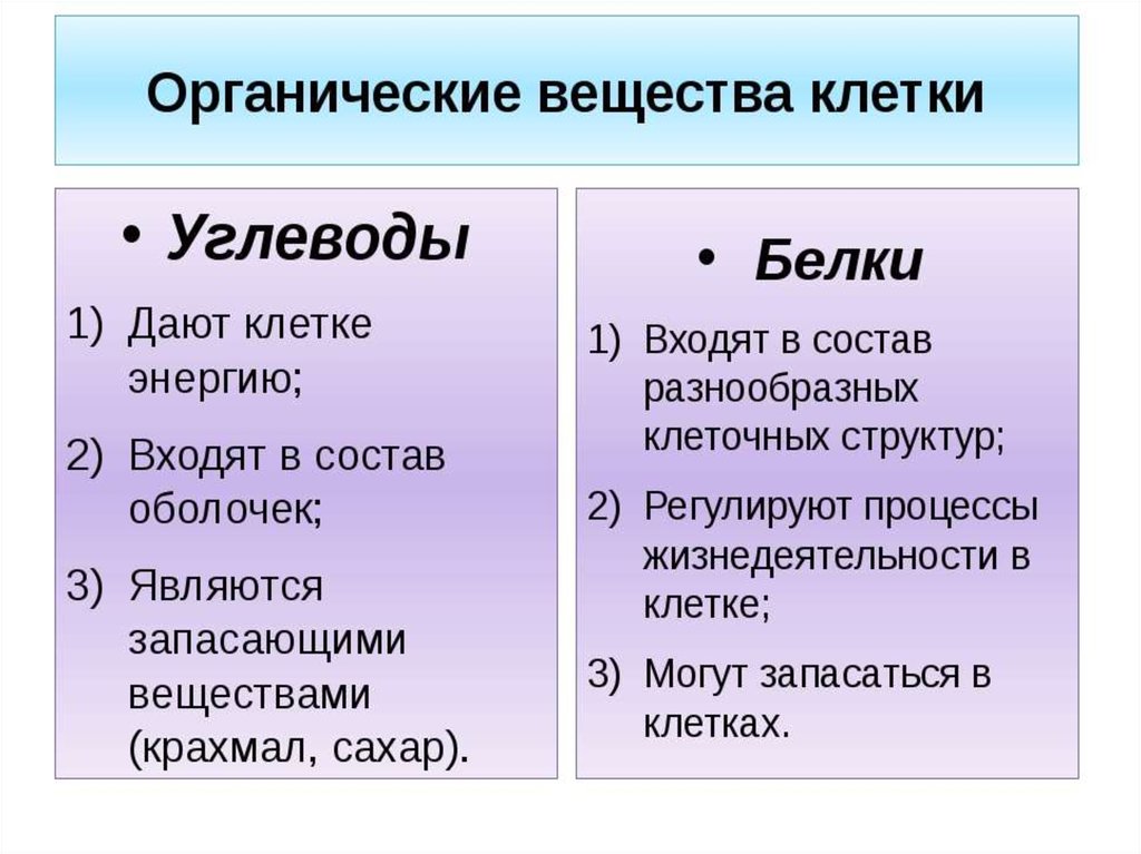 Химический состав клетки 10 класс презентация