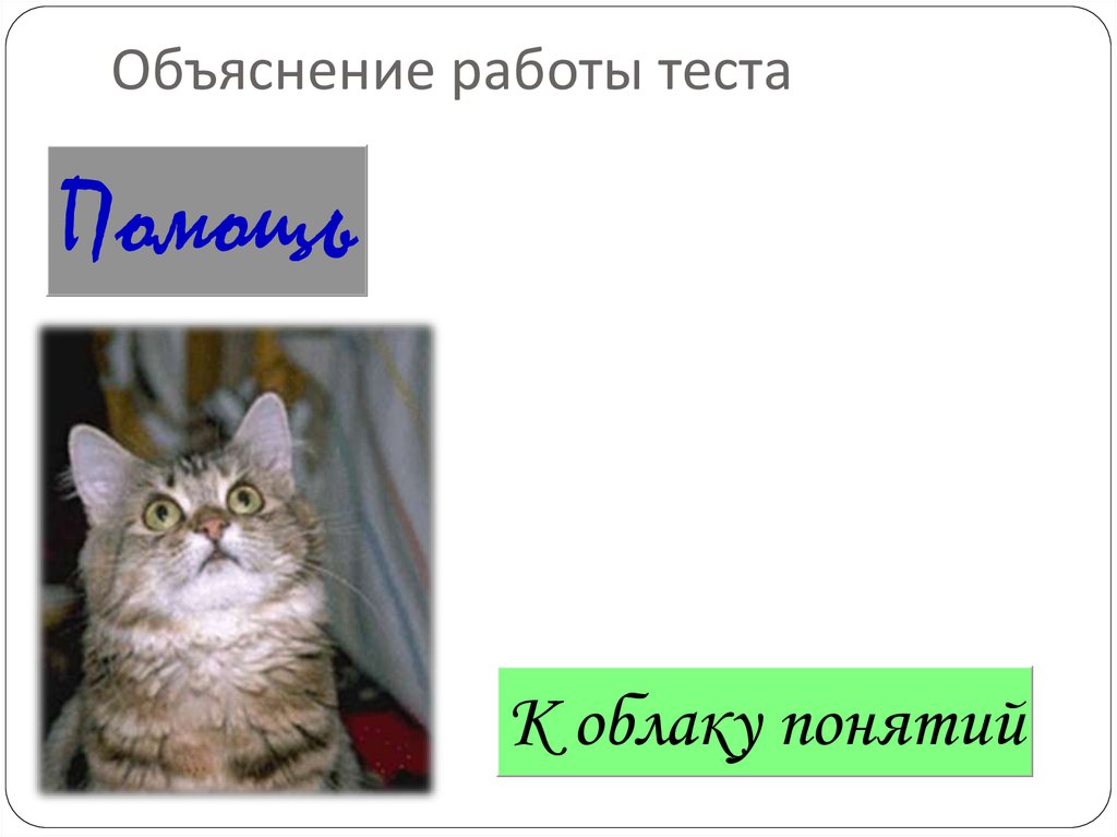 Объяснение работы теста