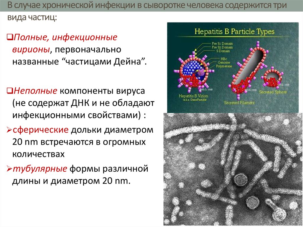 Вирусный компонент