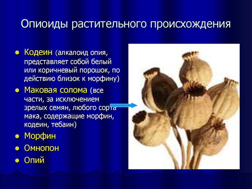 Растительное происхождение. Опиоиды. Опиоиды растительного происхождения. Алкалоиды растительного происхождения. Природные опиоиды.