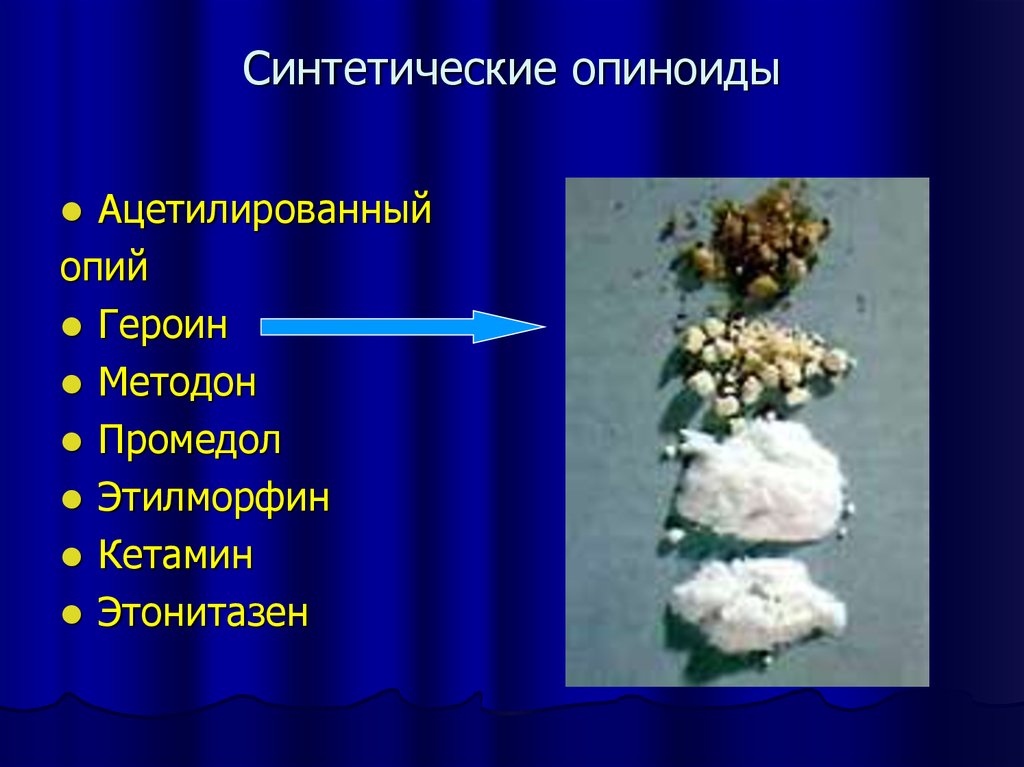 Neuro Immune Interactions in Neurologic and