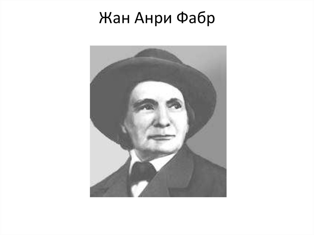 Жан Анри Фабр