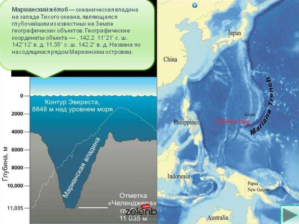 Самые глубокие части мирового океана. Желоб Тихого океана Марианский желоб. Марианская впадина глубина на карте мирового океана. Марианский жёлоб координаты на карте. Марианская впадина на карте координаты.
