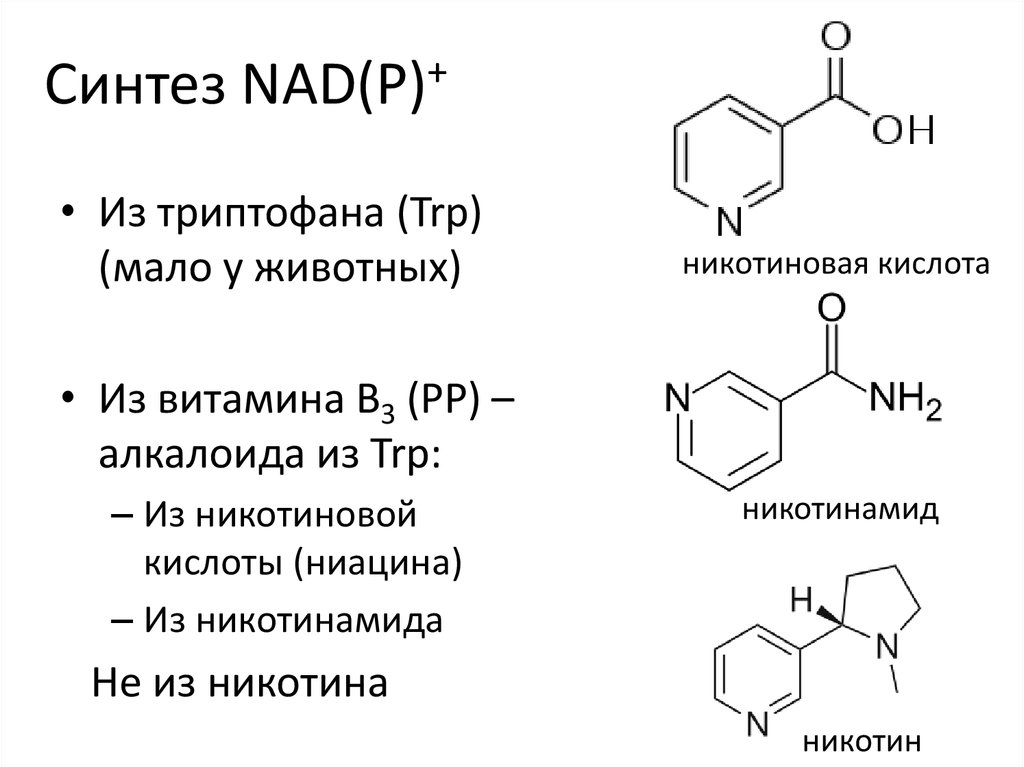 Синтез ответ 1. Синтез никотиновой кислоты из триптофана. Синтез ниацина из триптофана. Синтез витамина PP из триптофана. Синтез никотиновой кислоты из никотина.