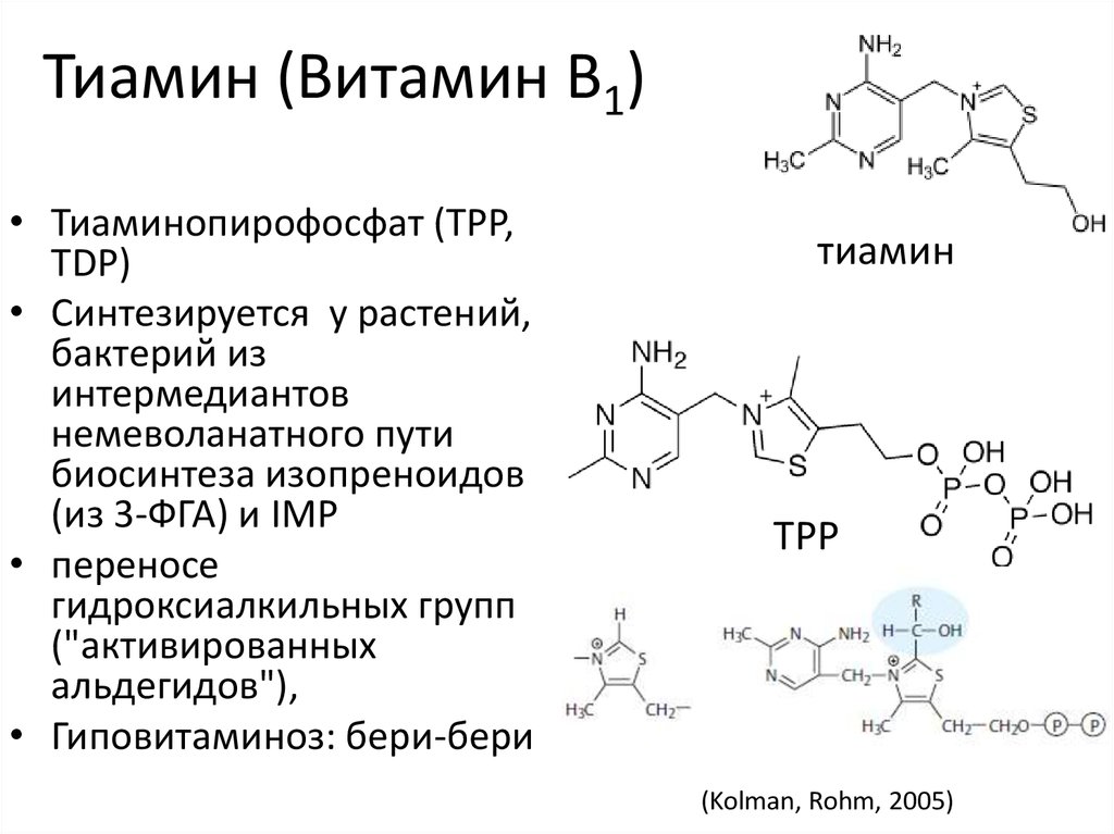 Фолиевая тиамин. Витамин b1 кофермент. Тиамин в1 формула. Витамин b1 биохимия кофермент. Витамин в1 формула биохимия.