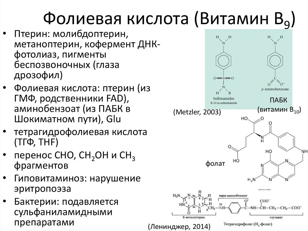Фолиевая кислота b9. Витамин b9 структура. Витамин b9 кофермент. Витамин в9 биохимические функции. Коферментная форма витамина в9.