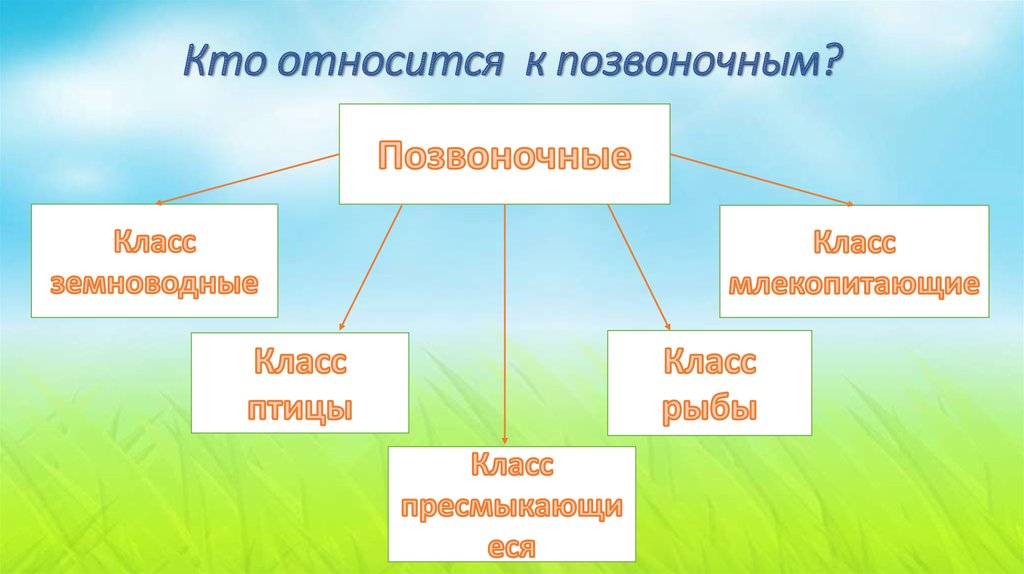 Кто относится к каждому поколению окружающий мир