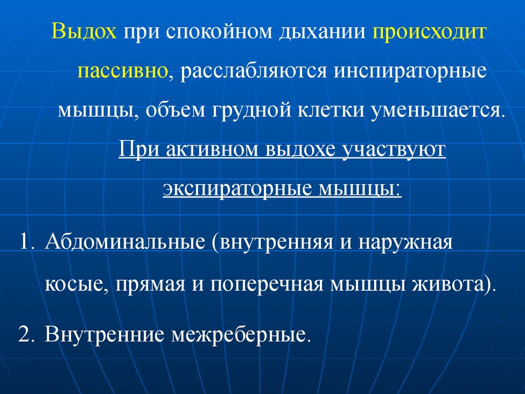 Организация дыхание. Инспираторные мышцы при спокойном дыхании. Экспираторная мускулатура. Инспираторные и экспираторные мышцы дыхания. Структурно функциональная организации дыхательной.