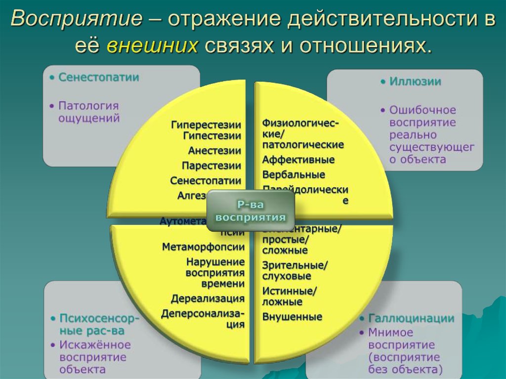 Лекция по теме Нарушение ощущений, восприятия, внимания