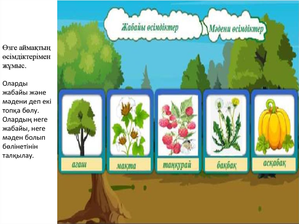 Өсімдіктерді қалай күту қажет жаратылыстану тех карта