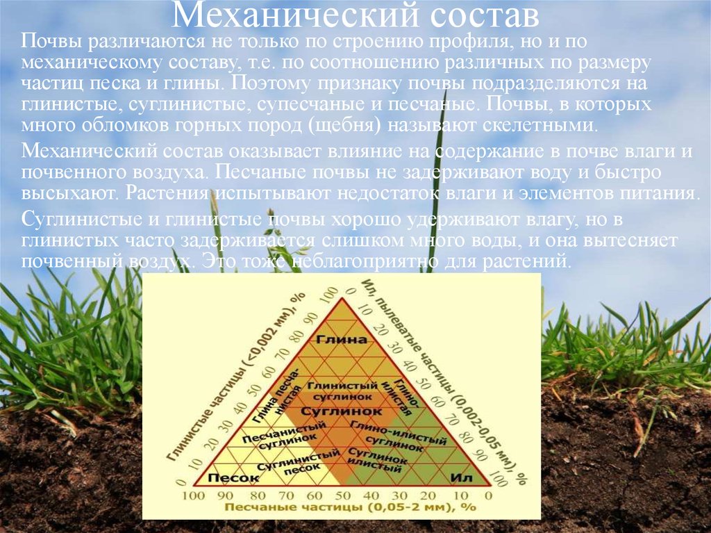 Методы определения почв. Механический состав почвы структура почвы. Механический состав глинистой почвы. Мехсостав почвы. Как определить механический состав почвы.