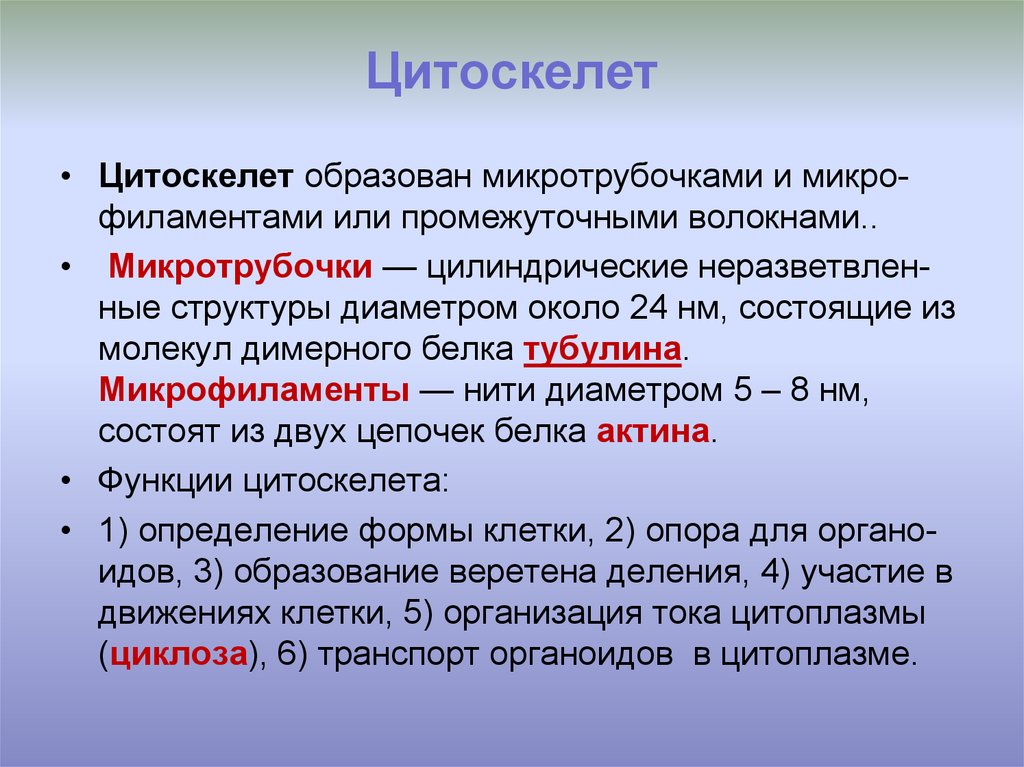 Цитоскелет это. Цитоскелет классификация. Цитоскелет строение и функции кратко. Образован микротрубочками. Цитоскелет образован.