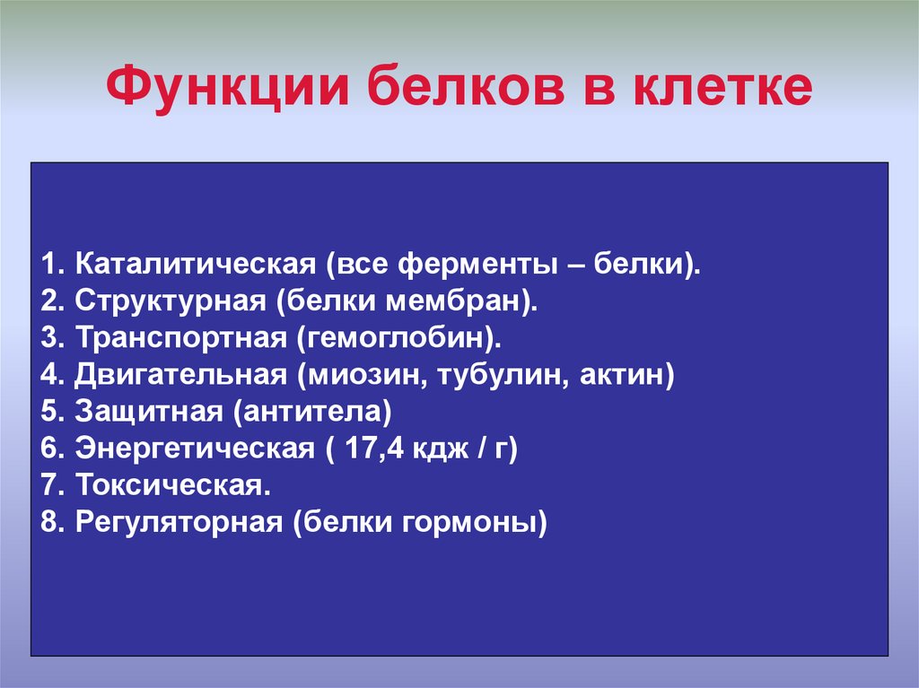 Какова роль белка. Функции белков в клетке. Функции белка в клетке. Роль белков в клетке. Белки роль в клетке.