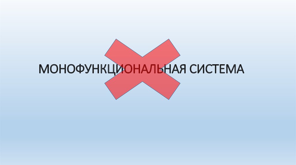 МОНОФУНКЦИОНАЛЬНАЯ СИСТЕМА
