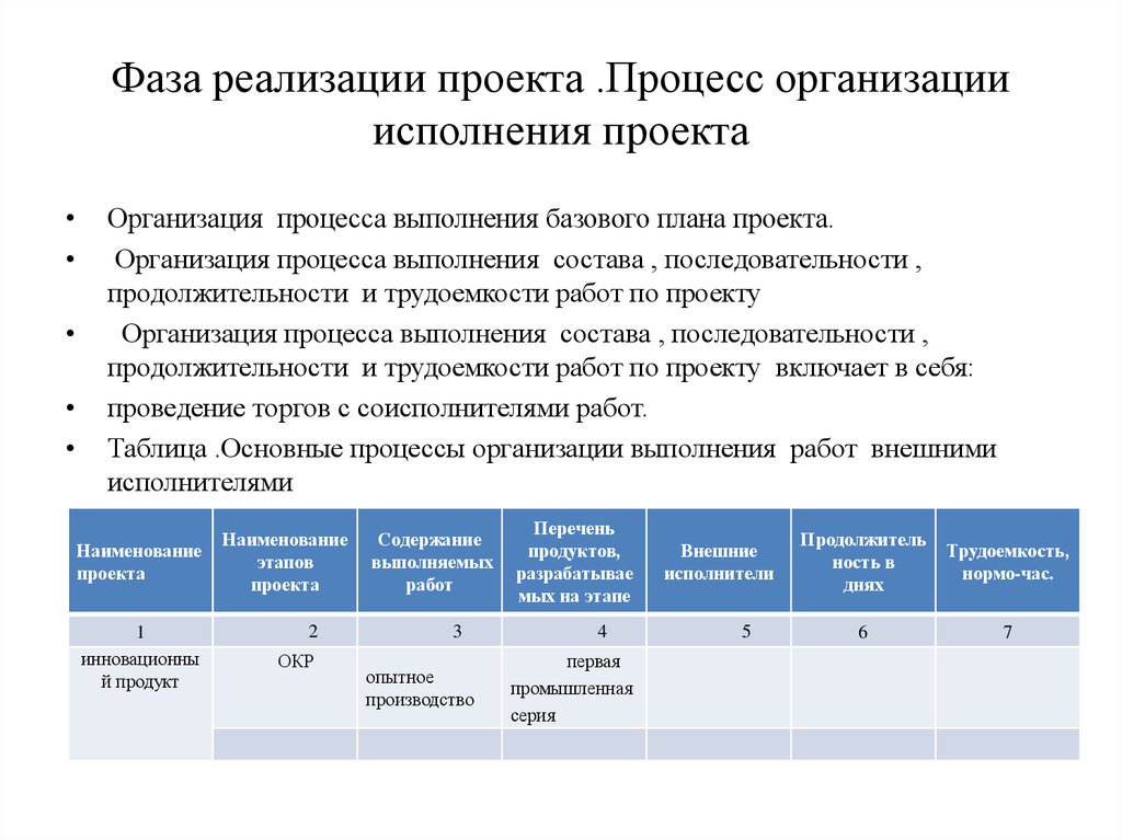 Исполнение проекта это